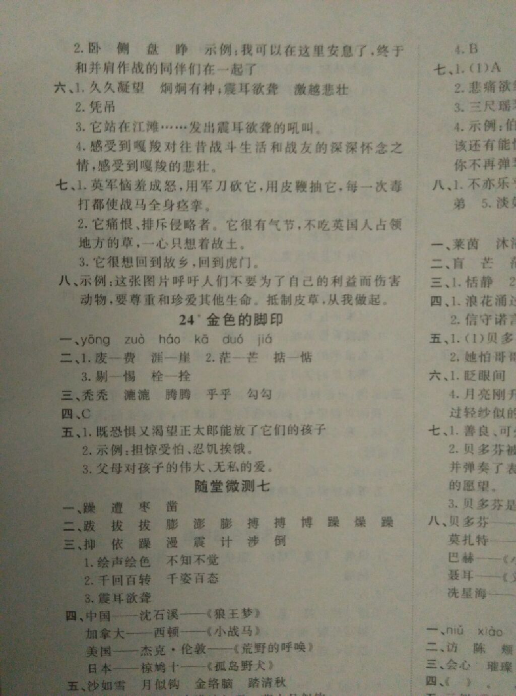 2017年原創(chuàng)新課堂六年級語文上冊人教版 參考答案第18頁