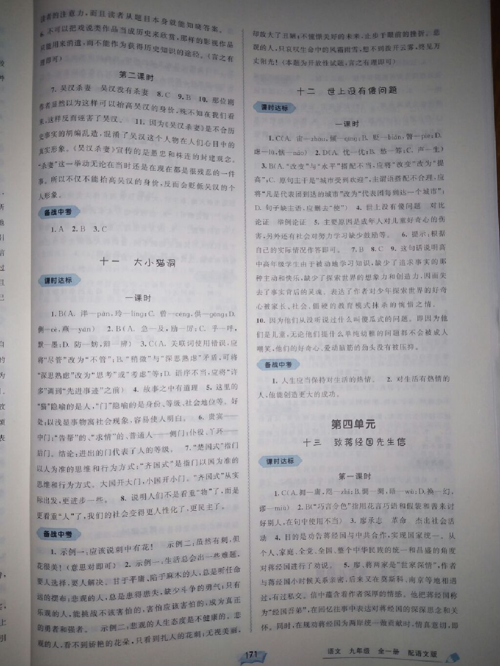 2017年新課程學(xué)習(xí)與測評(píng)同步學(xué)習(xí)九年級(jí)語文全一冊(cè)語文版 參考答案第17頁