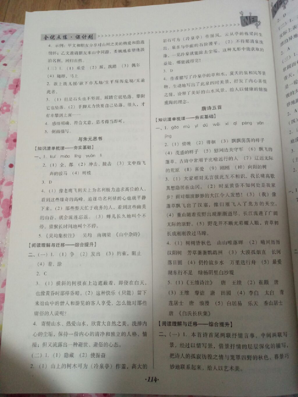 2017年全優(yōu)點(diǎn)練課計(jì)劃八年級(jí)語(yǔ)文上冊(cè)人教版 參考答案第10頁(yè)