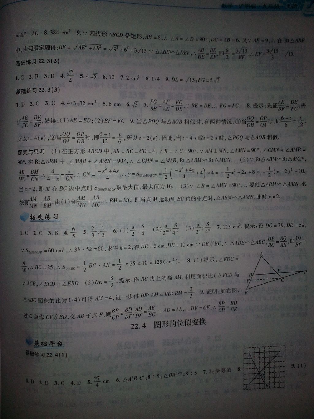 2017年新編基礎(chǔ)訓(xùn)練九年級(jí)數(shù)學(xué)上冊(cè)滬科版黃山書社 參考答案第8頁(yè)