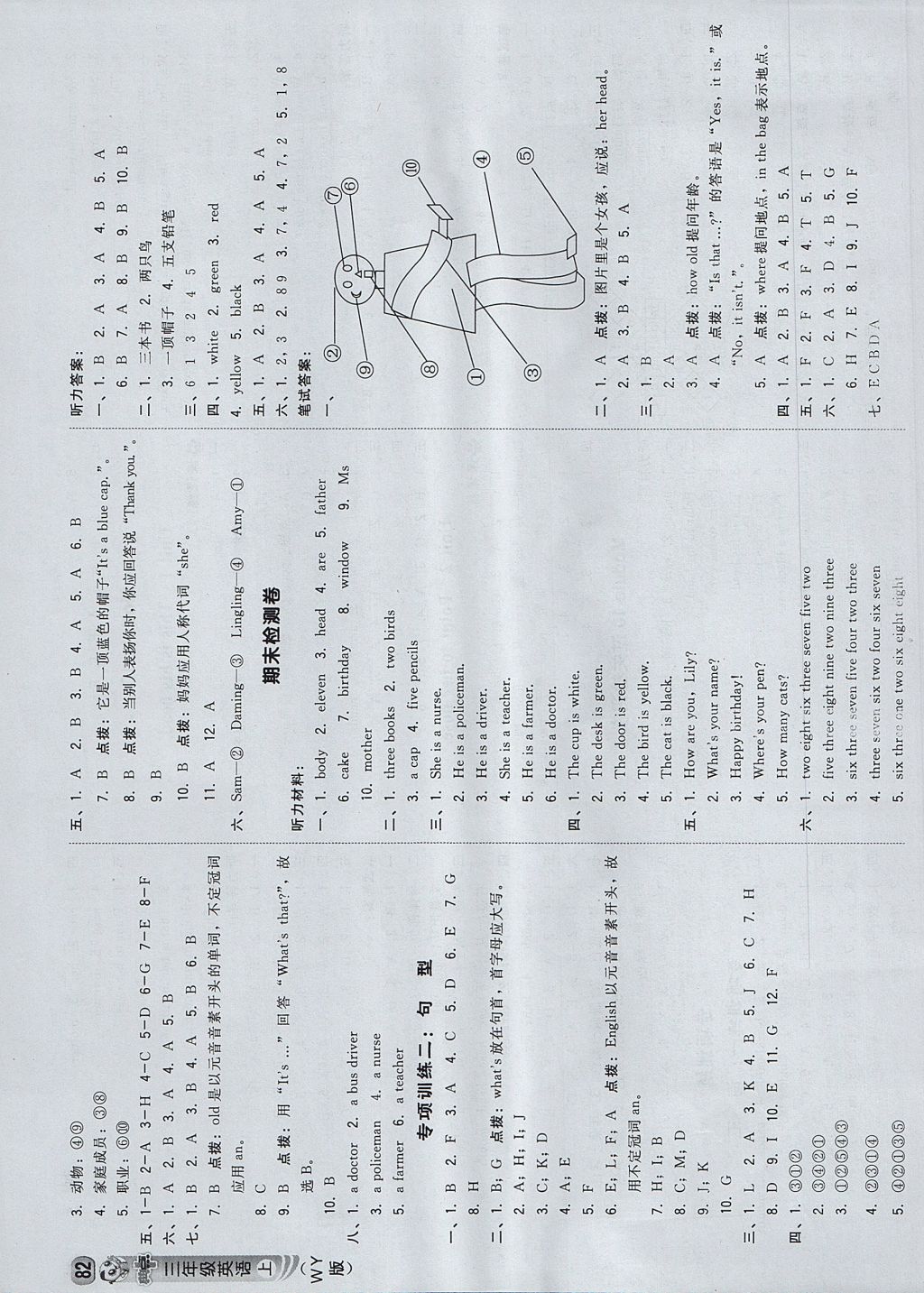 2017年綜合應(yīng)用創(chuàng)新題典中點三年級英語上冊外研版三起 參考答案第8頁