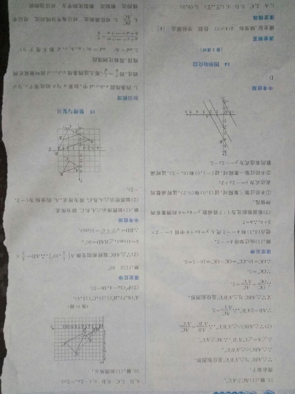 2017年課堂精練九年級數(shù)學上冊北師大版 參考答案第10頁