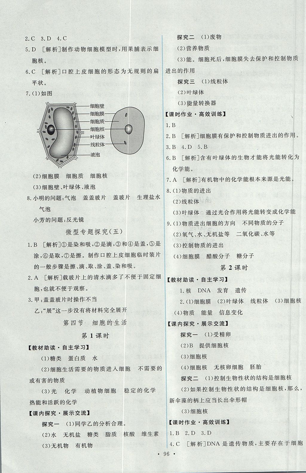 2017年能力培养与测试七年级生物学上册人教版 参考答案第6页