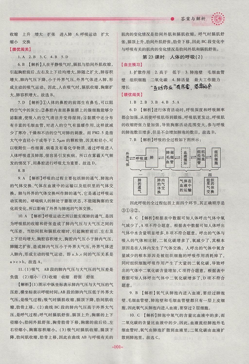 2017年绩优学案七年级生物学上册苏科版 参考答案第11页