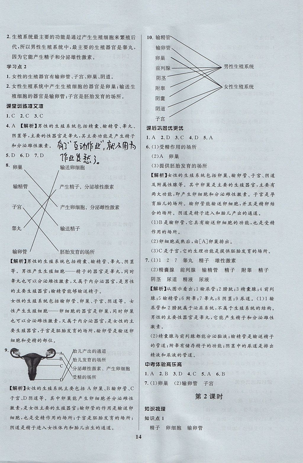 2017年天梯学案初中同步新课堂七年级生物上册鲁科版五四制 参考答案第2页