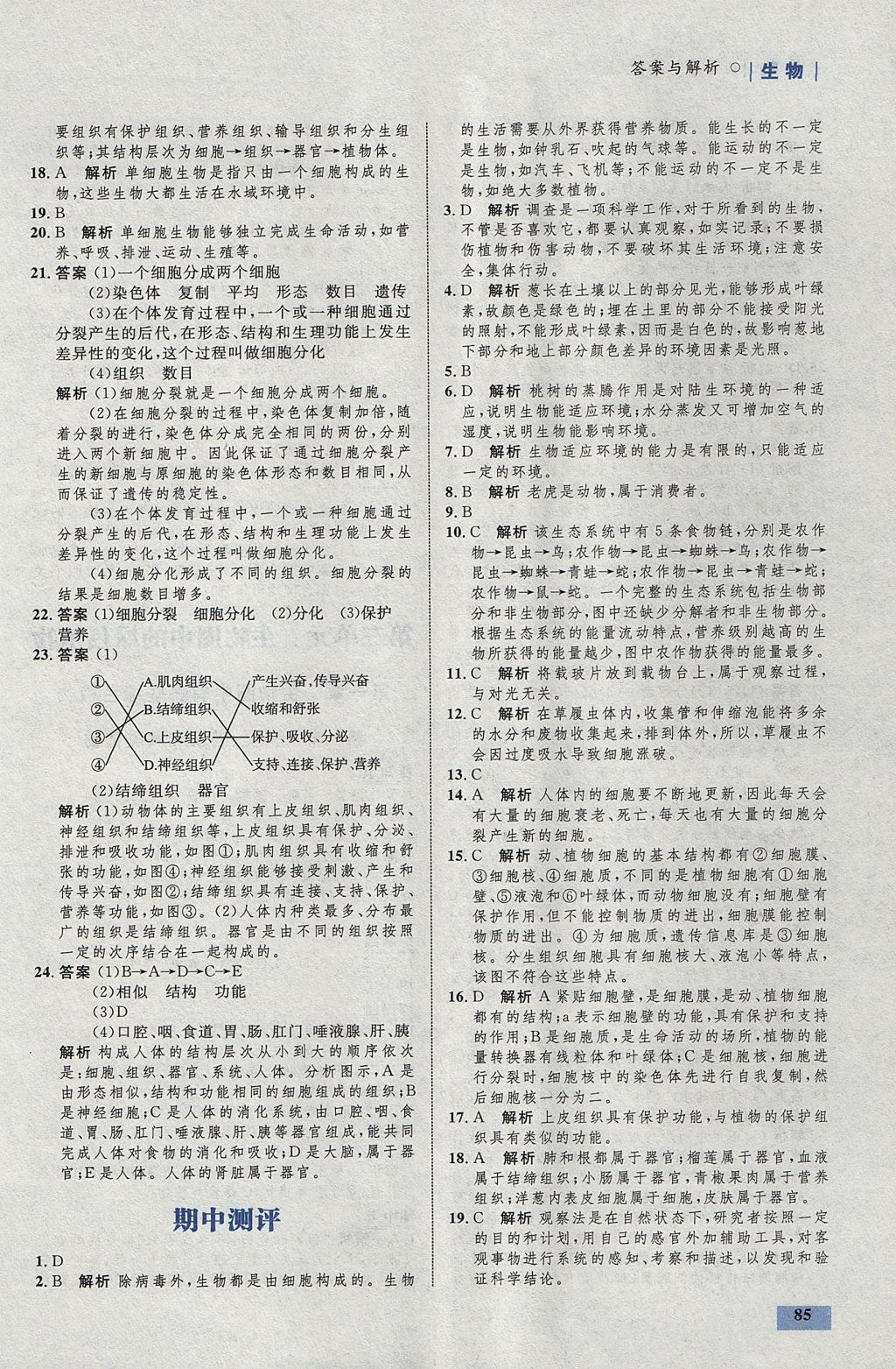 2017年初中同步学考优化设计七年级生物上册人教版 参考答案第11页