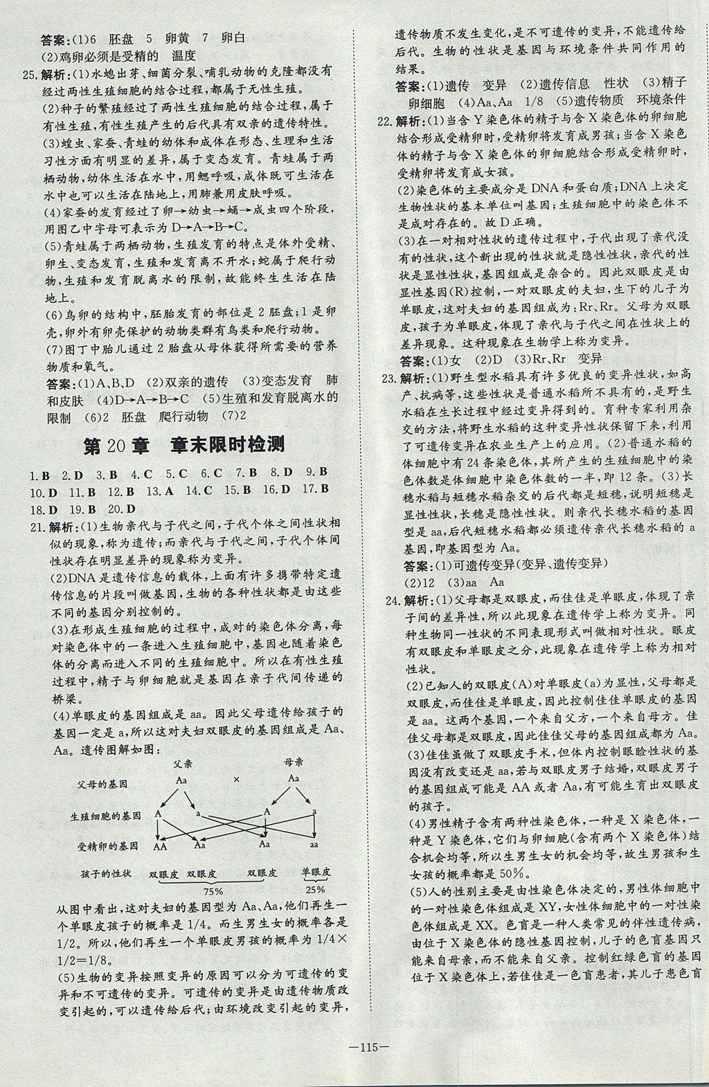 2017年初中同步學(xué)習(xí)導(dǎo)與練導(dǎo)學(xué)探究案八年級(jí)生物上冊(cè)北師大版 參考答案第15頁