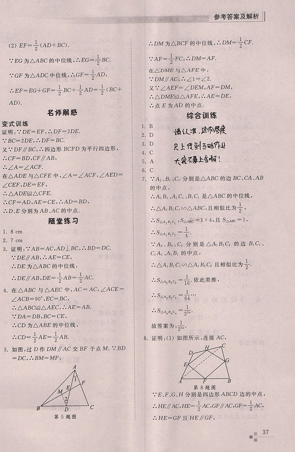 2017年综合能力训练八年级数学上册鲁教版五四制 参考答案第37页