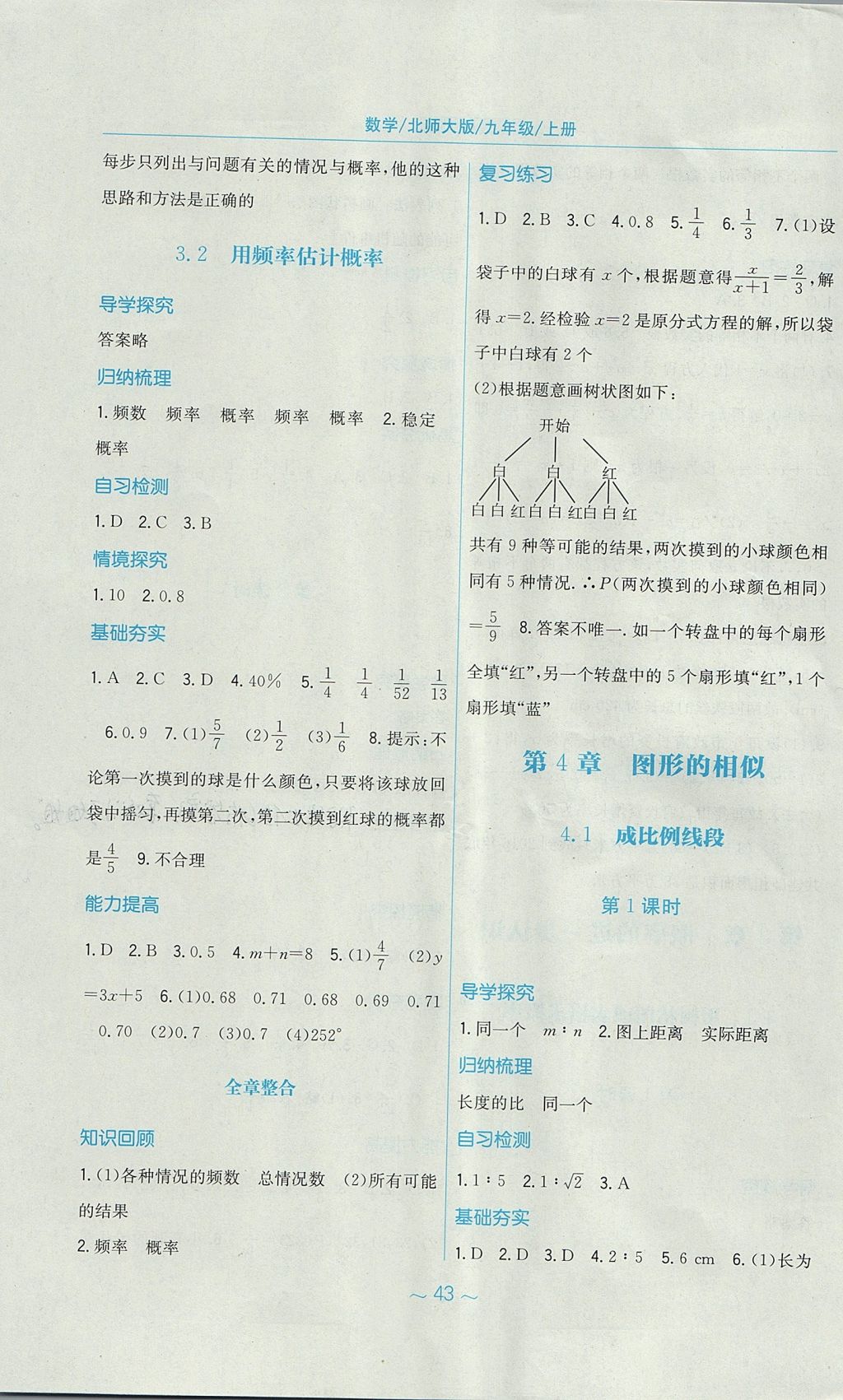 2017年新編基礎訓練九年級數(shù)學上冊北師大版 參考答案第11頁