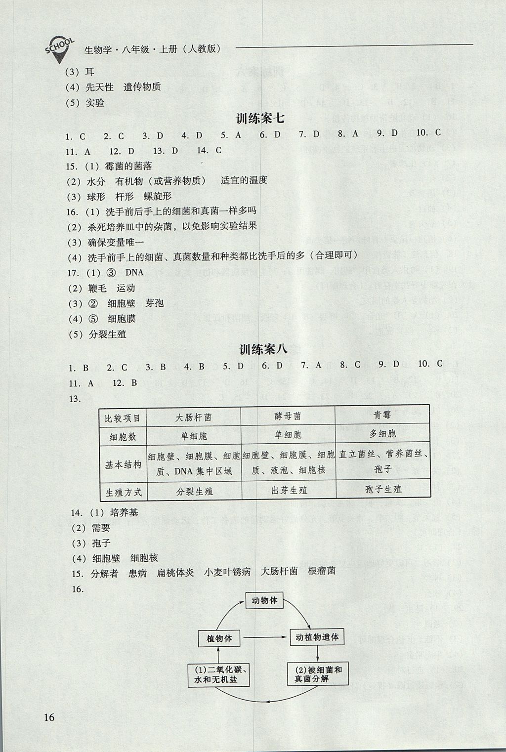 2017年新課程問題解決導(dǎo)學(xué)方案八年級(jí)生物學(xué)上冊(cè)人教版 參考答案第16頁