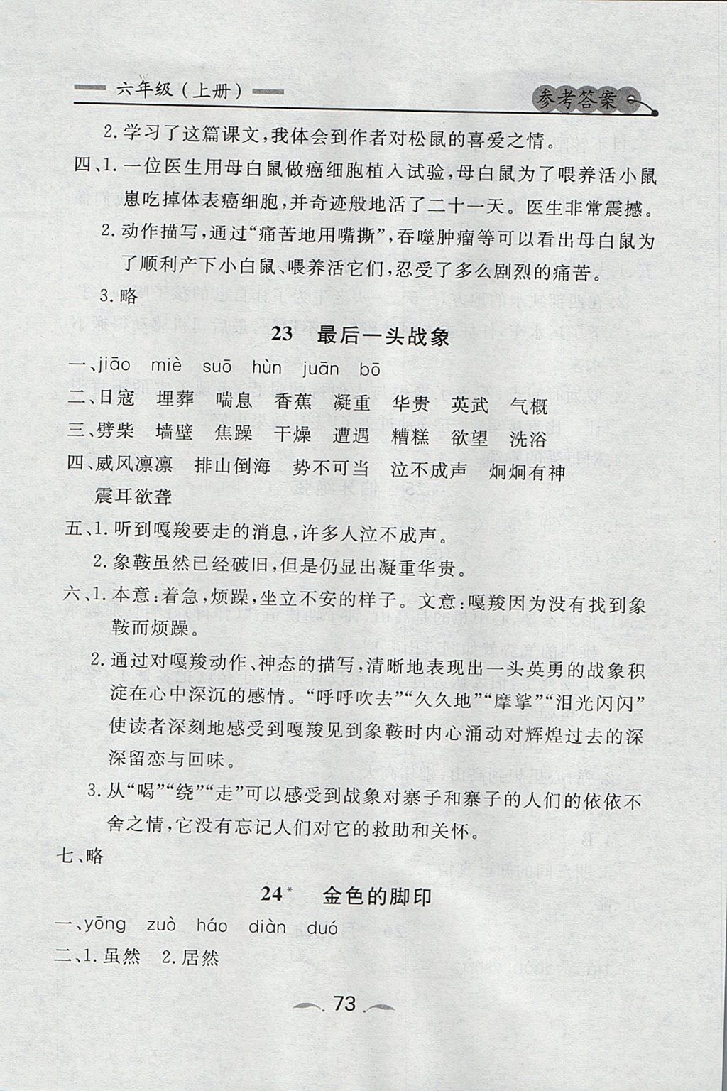 2017年點(diǎn)石成金金牌每課通六年級(jí)語(yǔ)文上冊(cè)人教版 參考答案第13頁(yè)