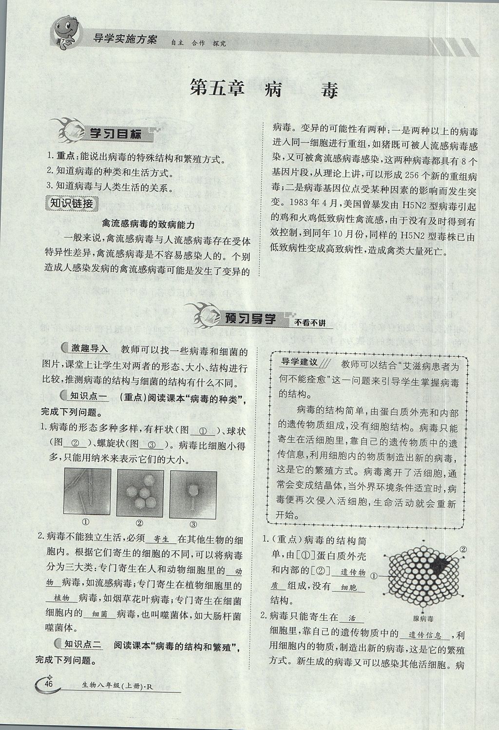 2017年金太阳导学案八年级生物上册人教版 第五单元第46页