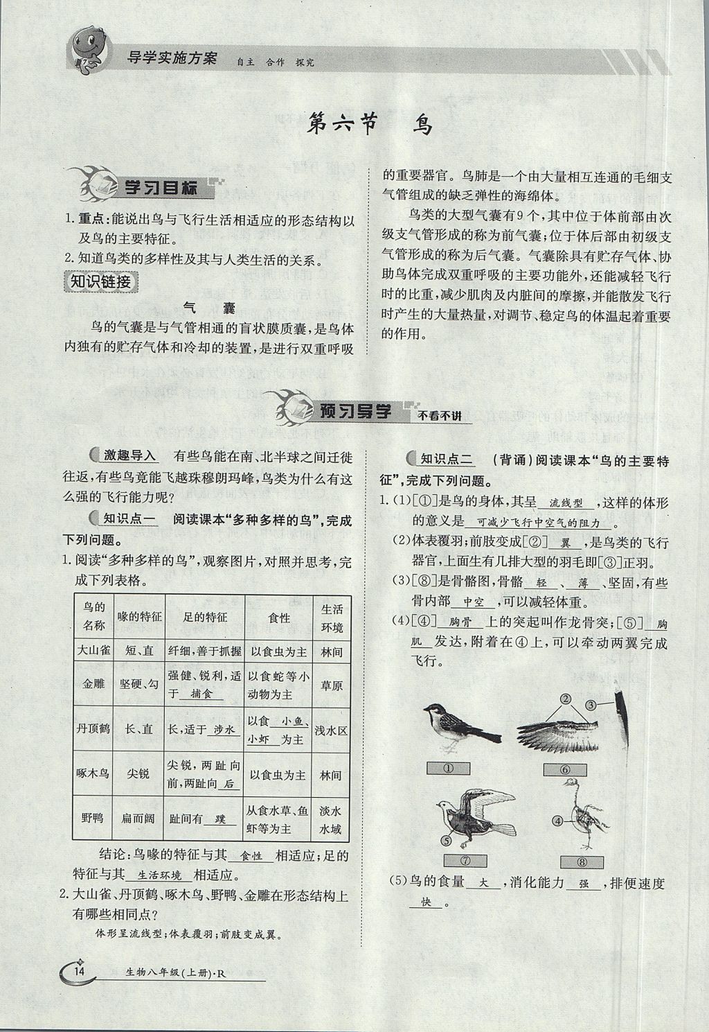 2017年金太陽導(dǎo)學(xué)案八年級(jí)生物上冊人教版 第五單元第14頁