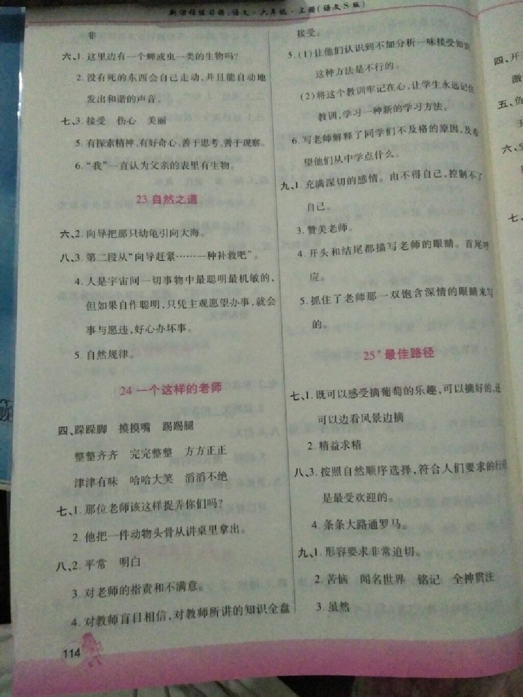 2017年新課程練習冊六年級語文上冊語文S版 參考答案第10頁