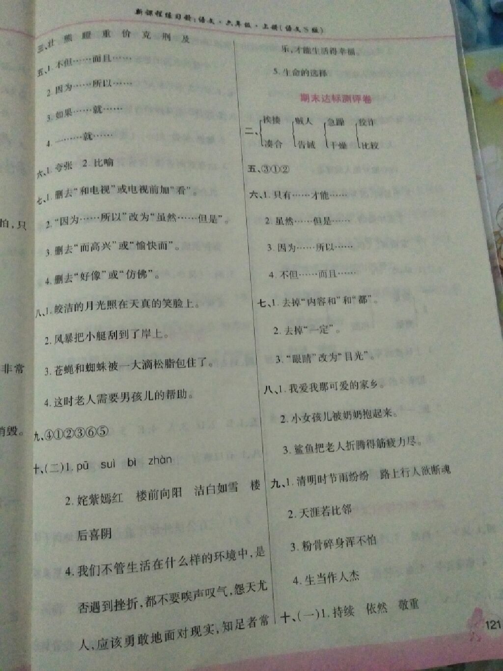 2017年新課程練習(xí)冊(cè)六年級(jí)語(yǔ)文上冊(cè)語(yǔ)文S版 參考答案第3頁(yè)