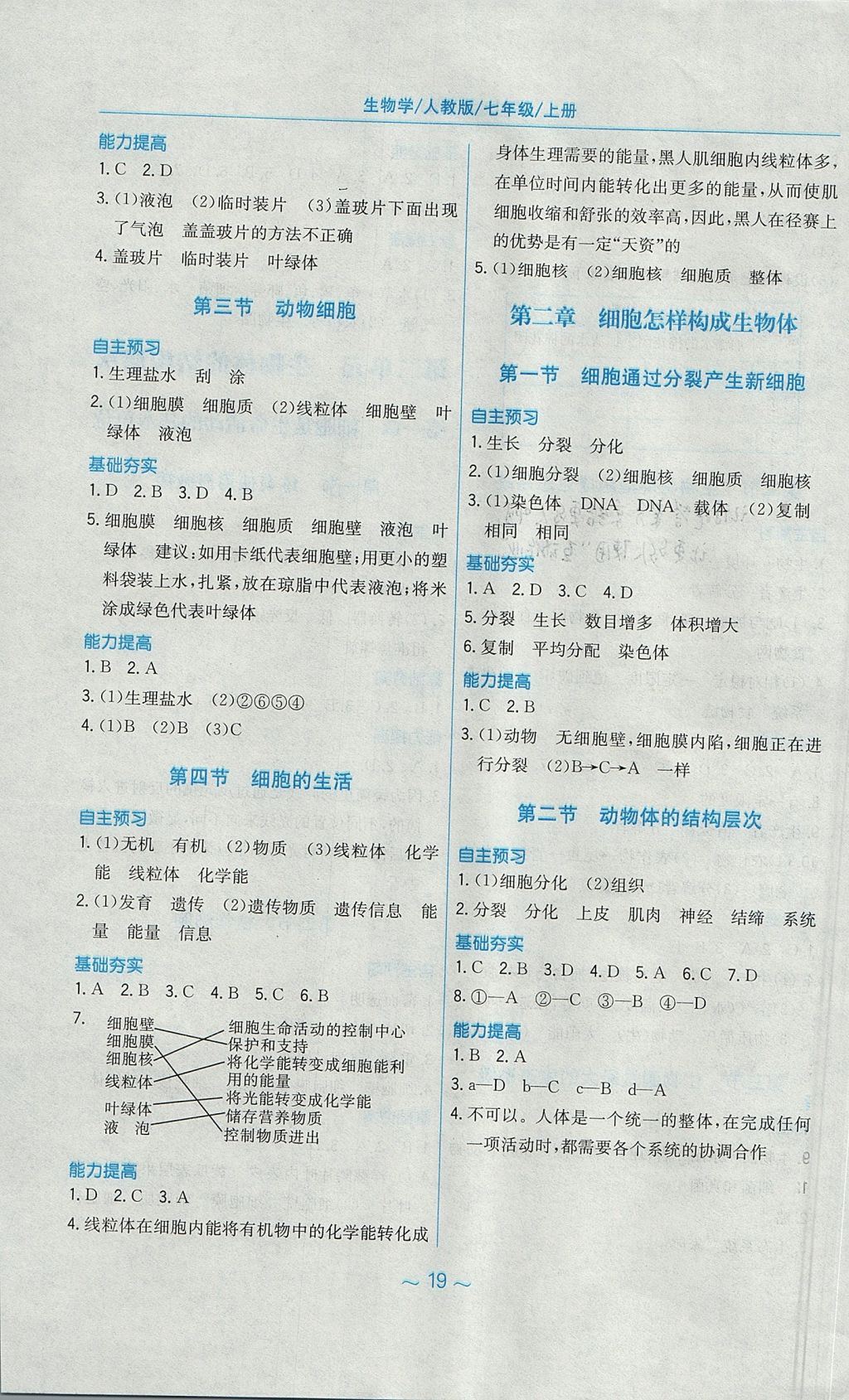 2017年新编基础训练七年级生物学上册人教版 参考答案