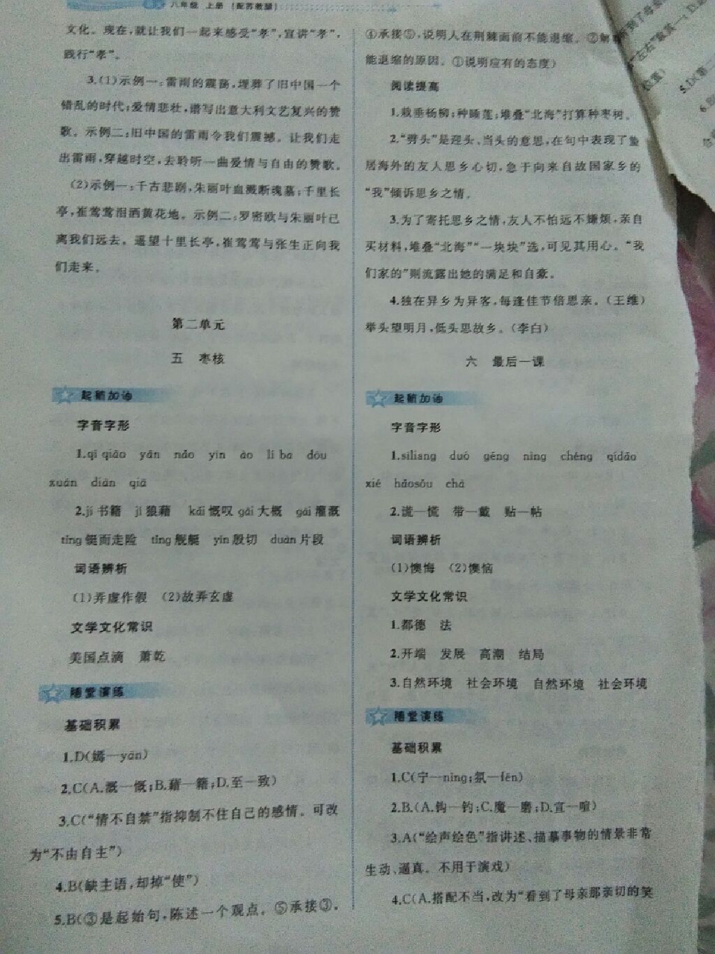 2017年新課程學(xué)習(xí)與測評同步學(xué)習(xí)八年級語文上冊蘇教版 參考答案第14頁