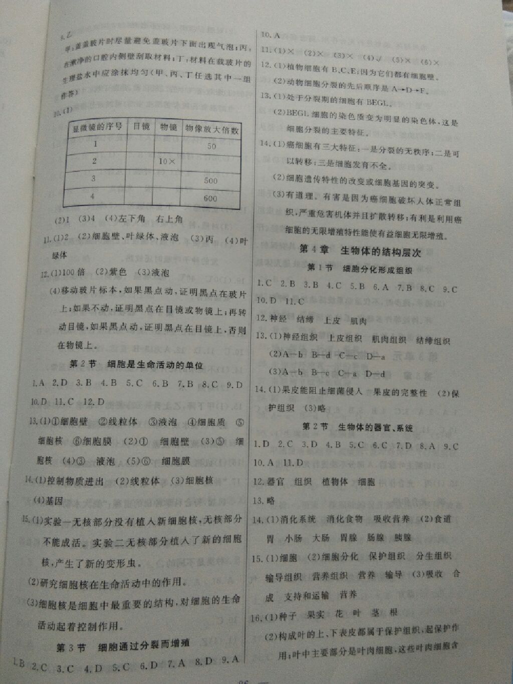 2017年自主訓(xùn)練七年級生物上冊北師大版 參考答案第2頁