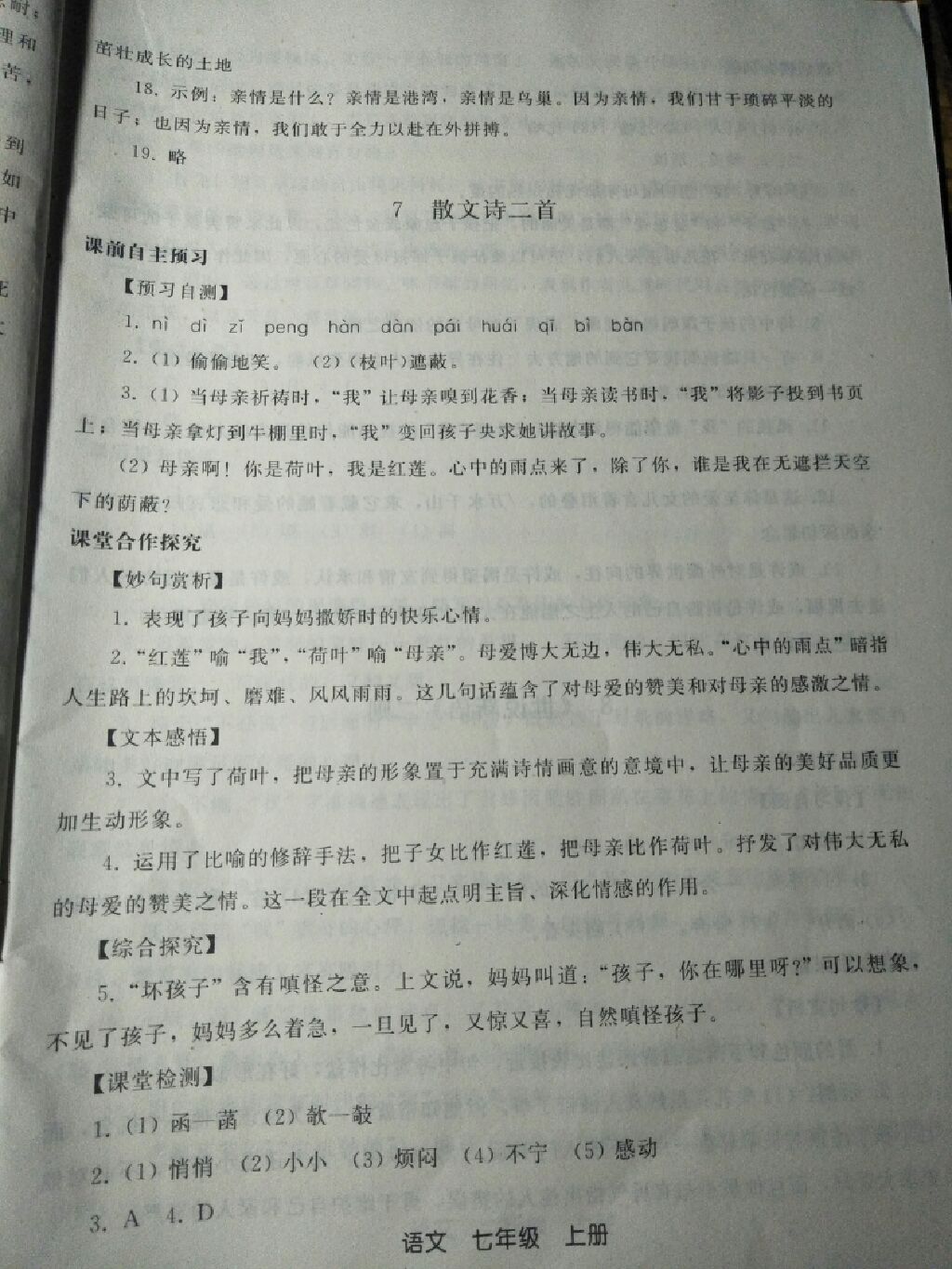 2017年同步轻松练习七年级语文上册人教版 参考答案第4页