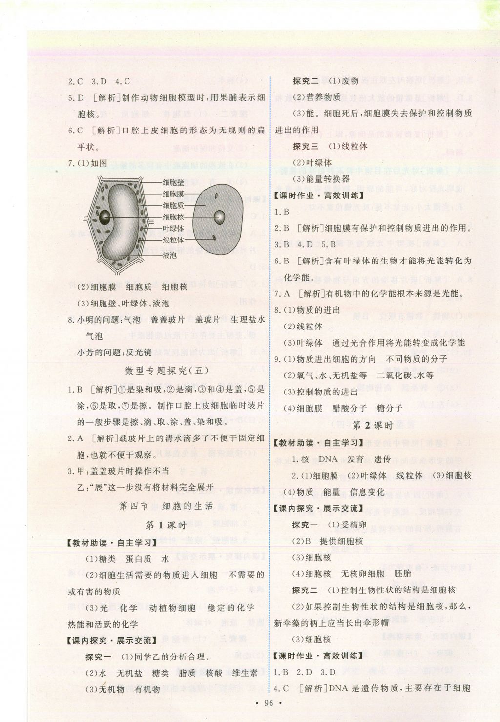 2017年能力培養(yǎng)與測(cè)試七年級(jí)生物學(xué)上冊(cè)人教版安徽 參考答案