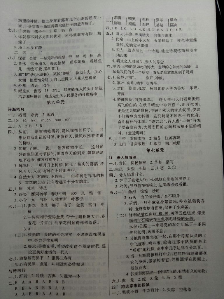 2017年英才學(xué)業(yè)評價六年級語文上冊人教版 參考答案第6頁