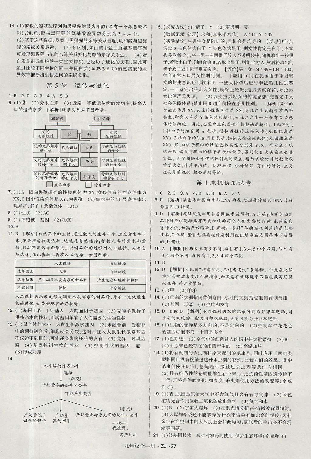 2017年經(jīng)綸學典學霸九年級科學全一冊浙教版 參考答案