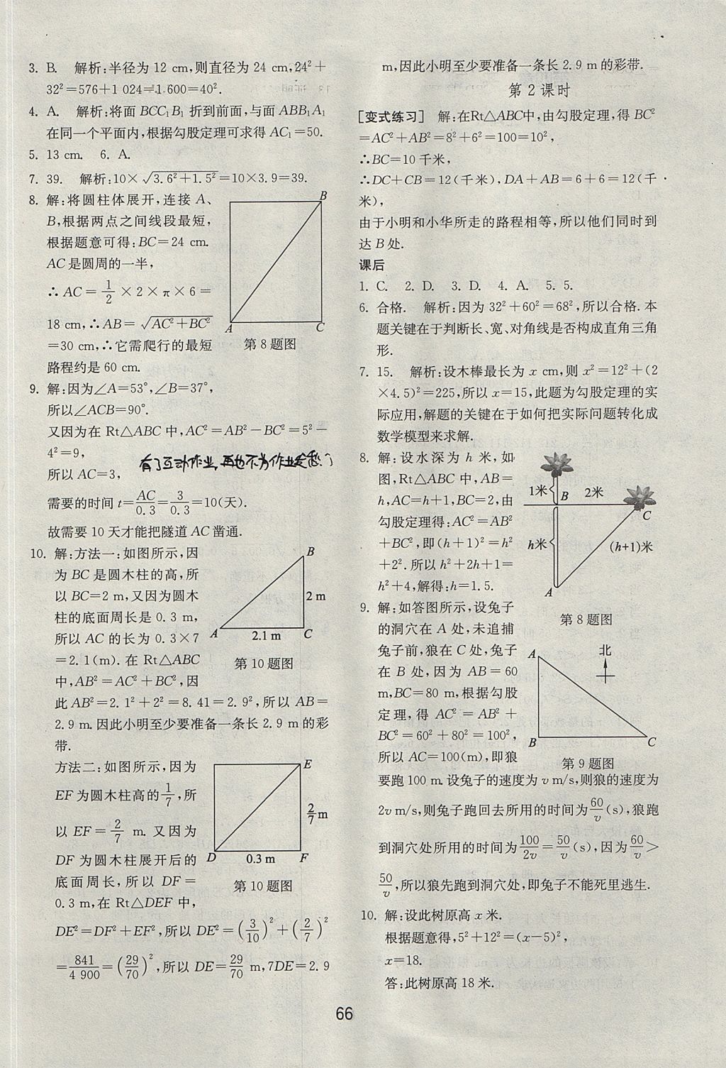 2017年初中基礎(chǔ)訓(xùn)練七年級數(shù)學(xué)上冊魯教版五四制 參考答案