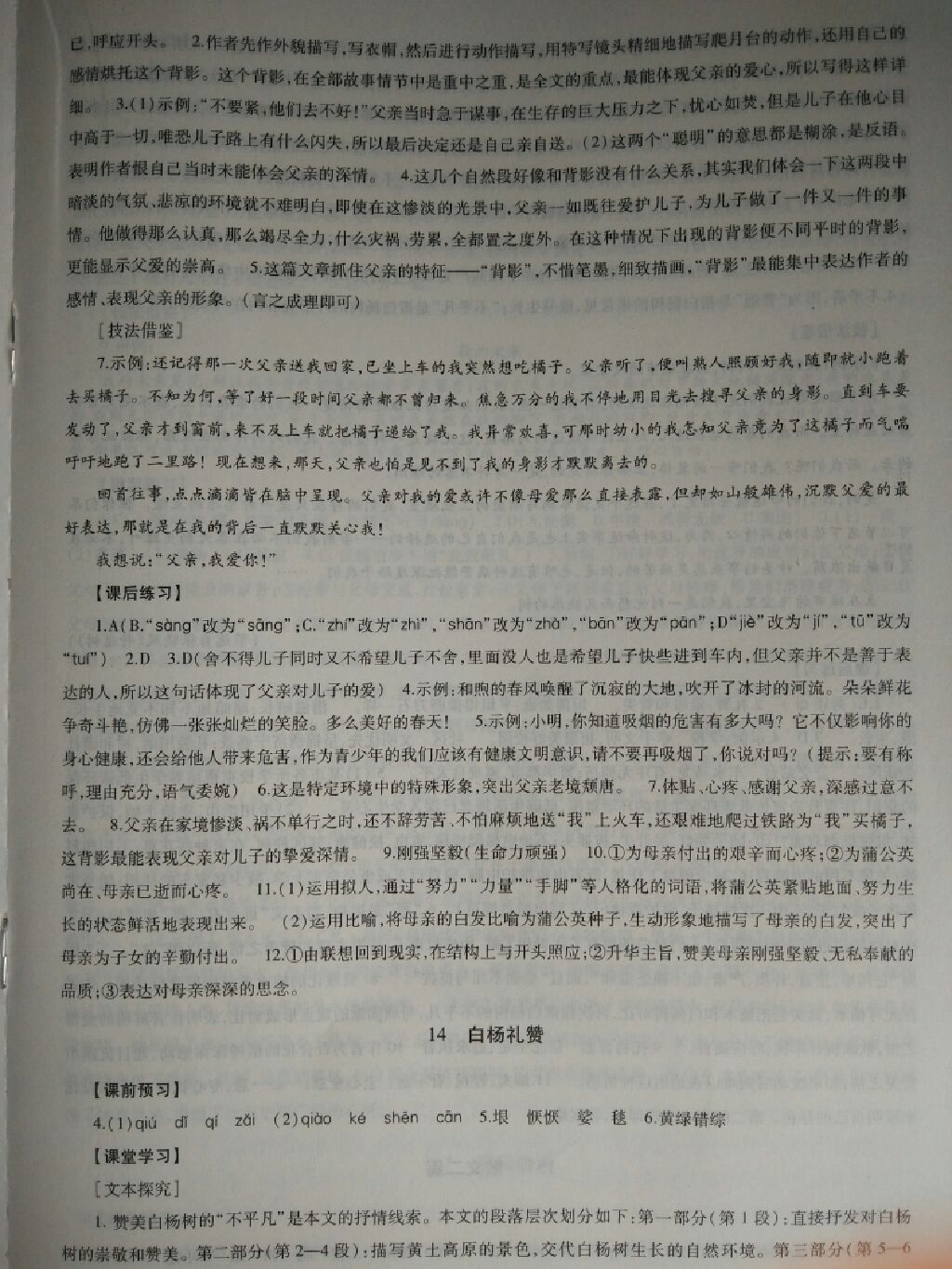 2017年同步学习八年级语文上册 参考答案