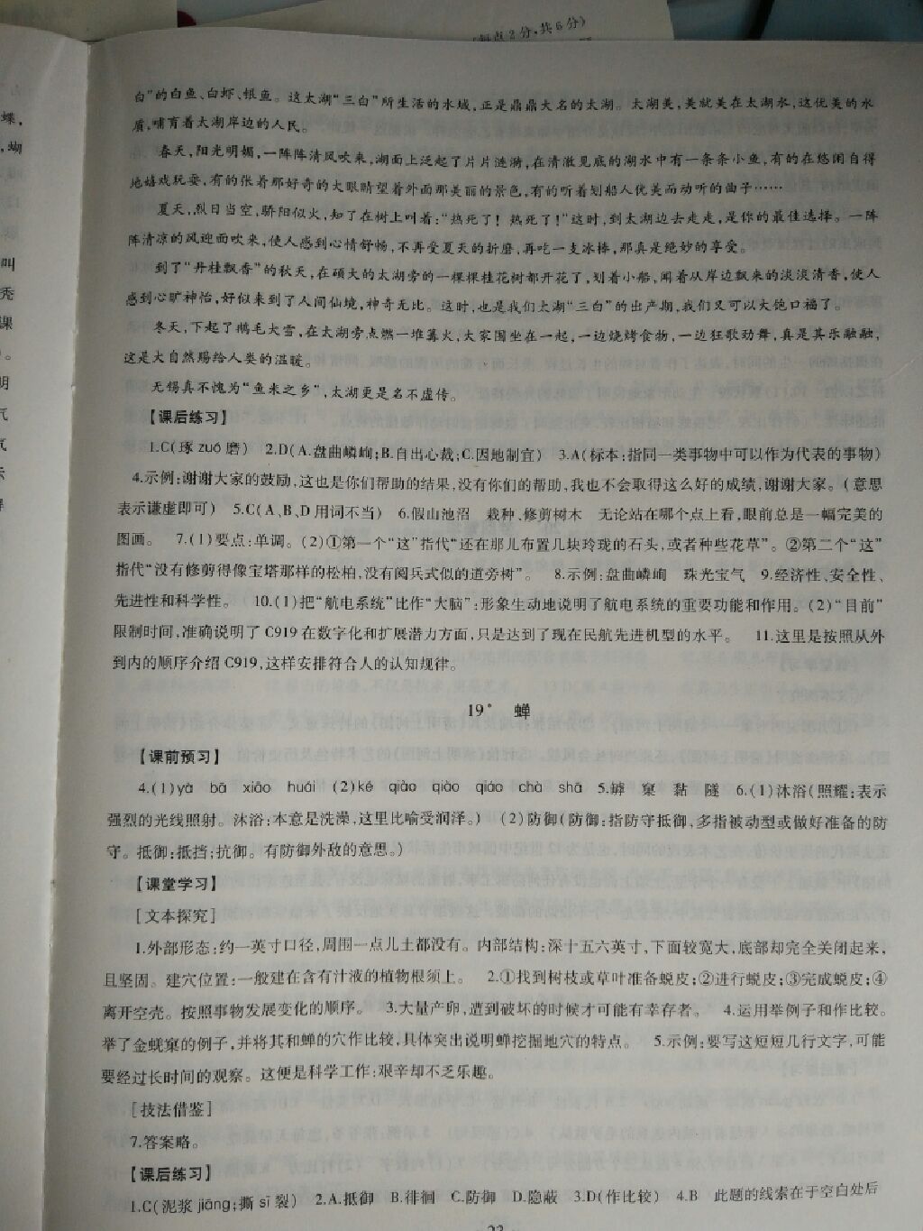 2017年同步学习八年级语文上册 参考答案