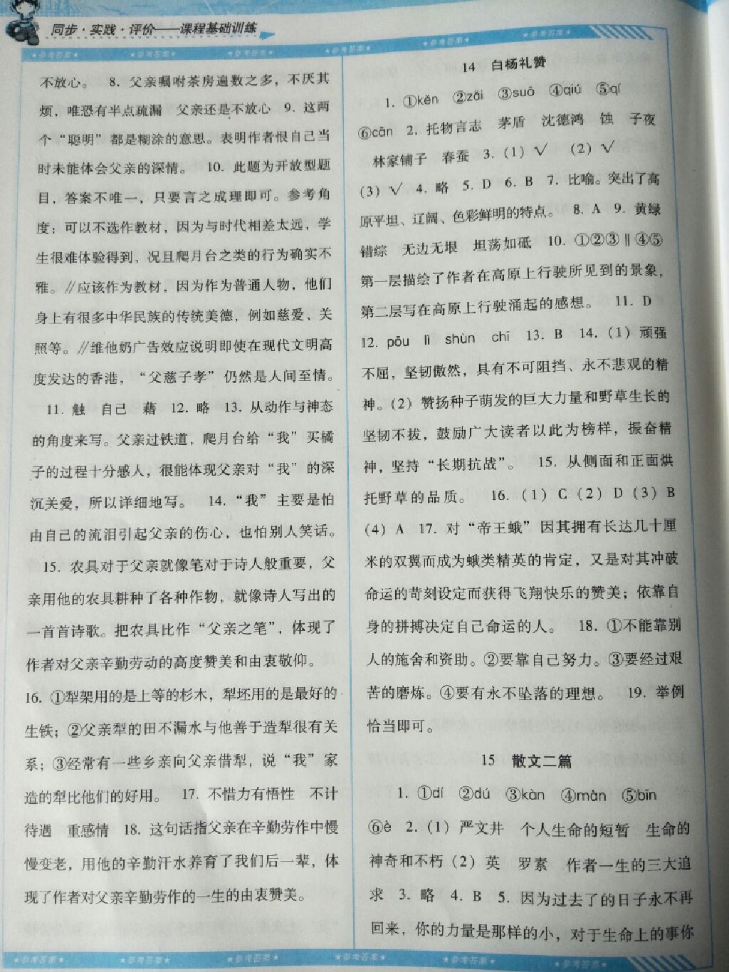 2017年課程基礎(chǔ)訓(xùn)練八年級語文上冊人教版 參考答案