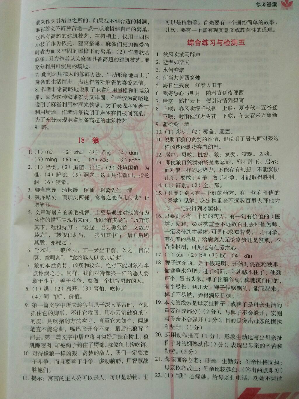 2017年中學(xué)生隨堂同步練習(xí)七年級(jí)語(yǔ)文上冊(cè) 參考答案