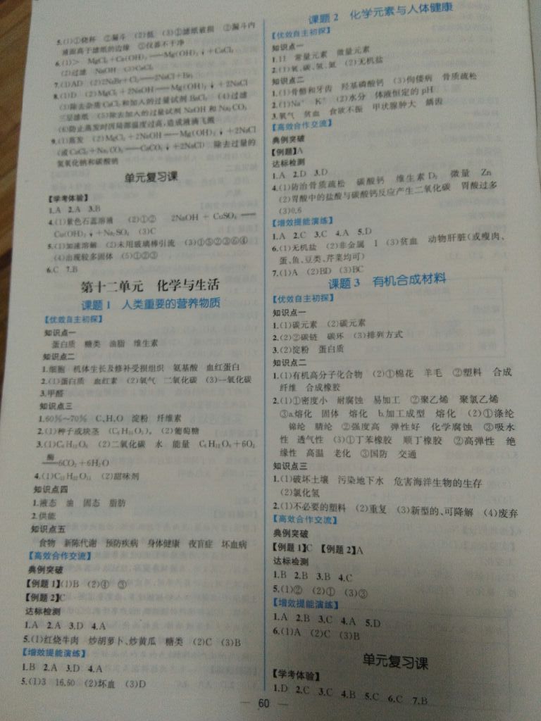 2017年同步导学案课时练九年级化学全一册人教版河南专版 参考答案