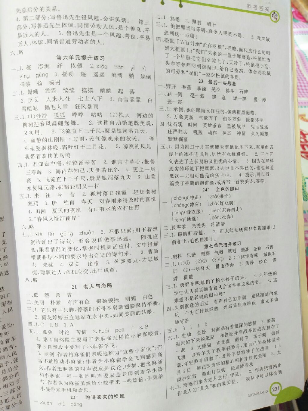 2017年七彩课堂全讲互动精练六年级语文上册人教版 参考答案