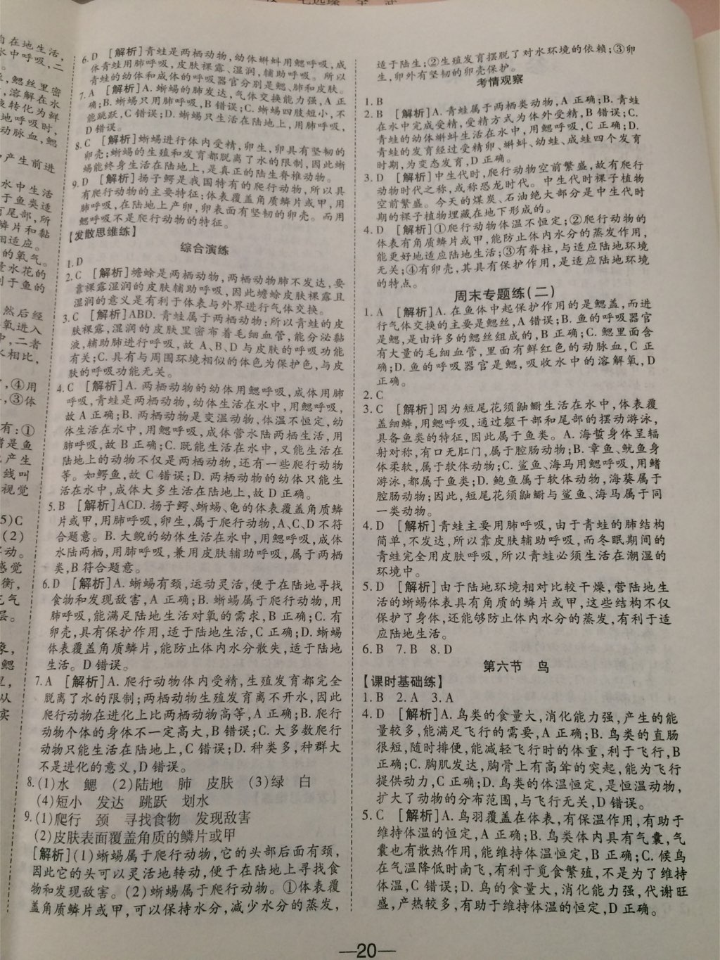 2017年E通練加考八年級(jí)生物上冊(cè)人教版 參考答案