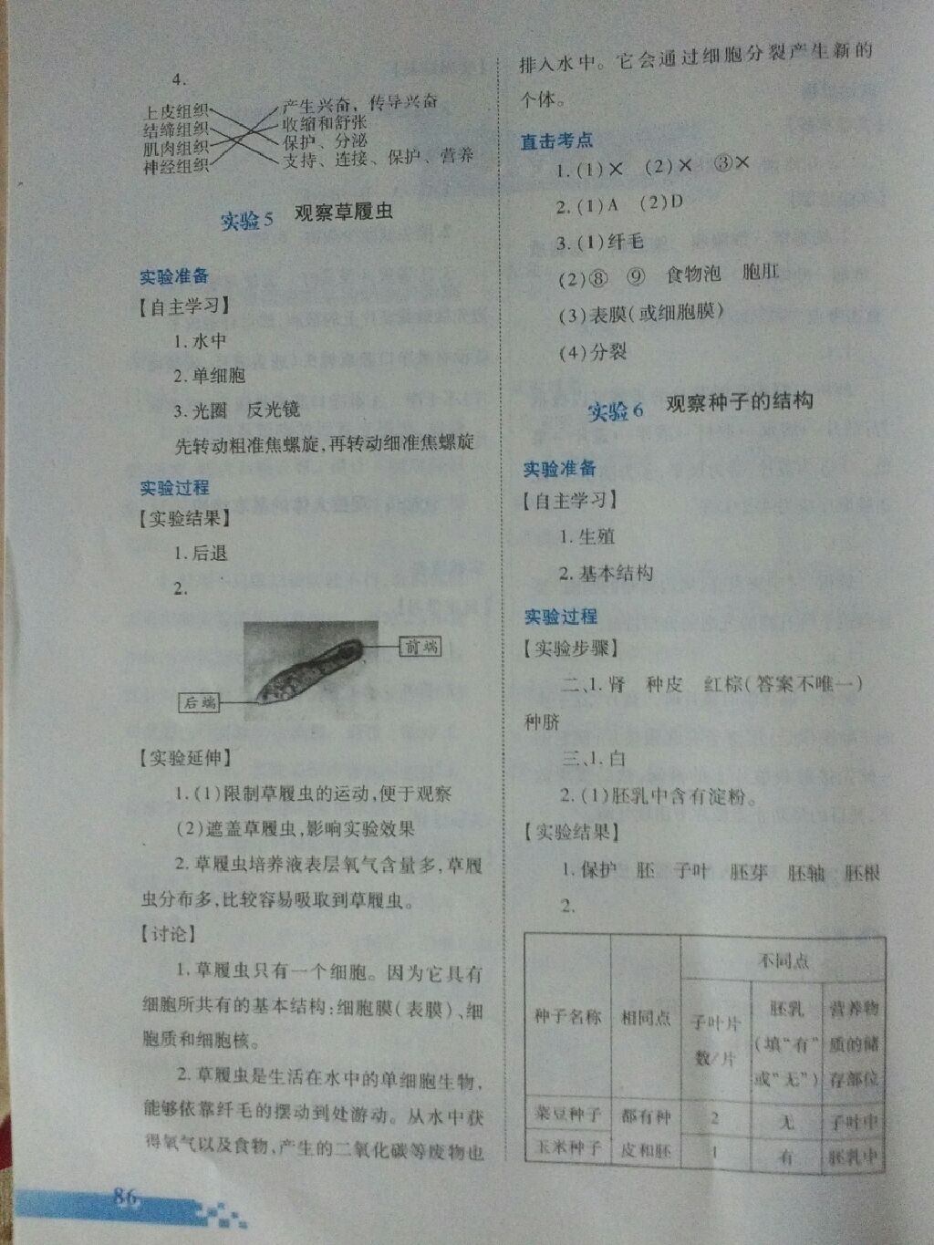 2017年實(shí)驗(yàn)探究報告冊七年級生物學(xué)上冊人教版 參考答案