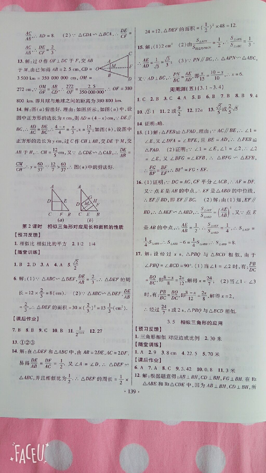 2017年课时掌控九年级数学上册湘教版 参考答案