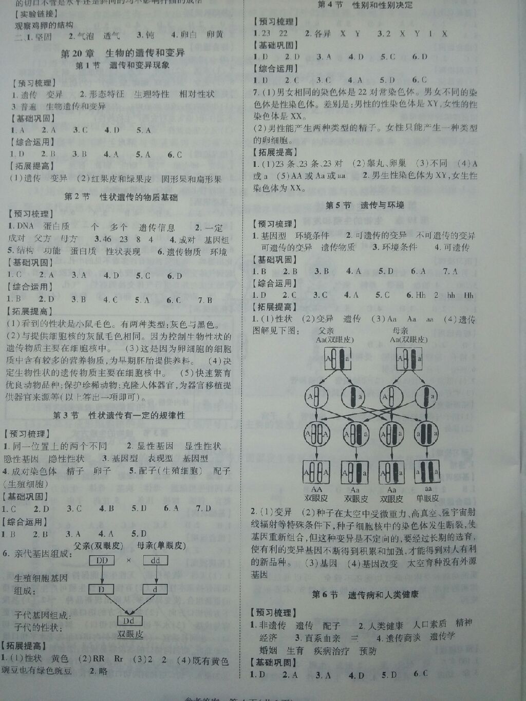 2017年同步學(xué)案八年級生物學(xué)上冊北師大版 參考答案第4頁