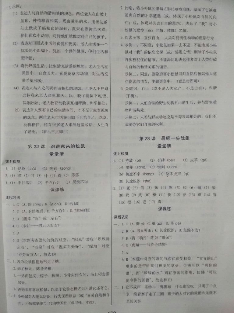 2017年汇练初中语文能力测试六年级上册人教版 参考答案第13页