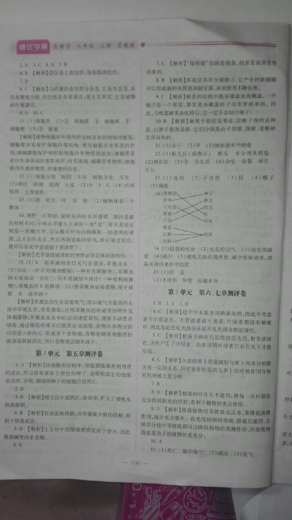 2017年绩优学案七年级生物学上册苏教版 参考答案第3页