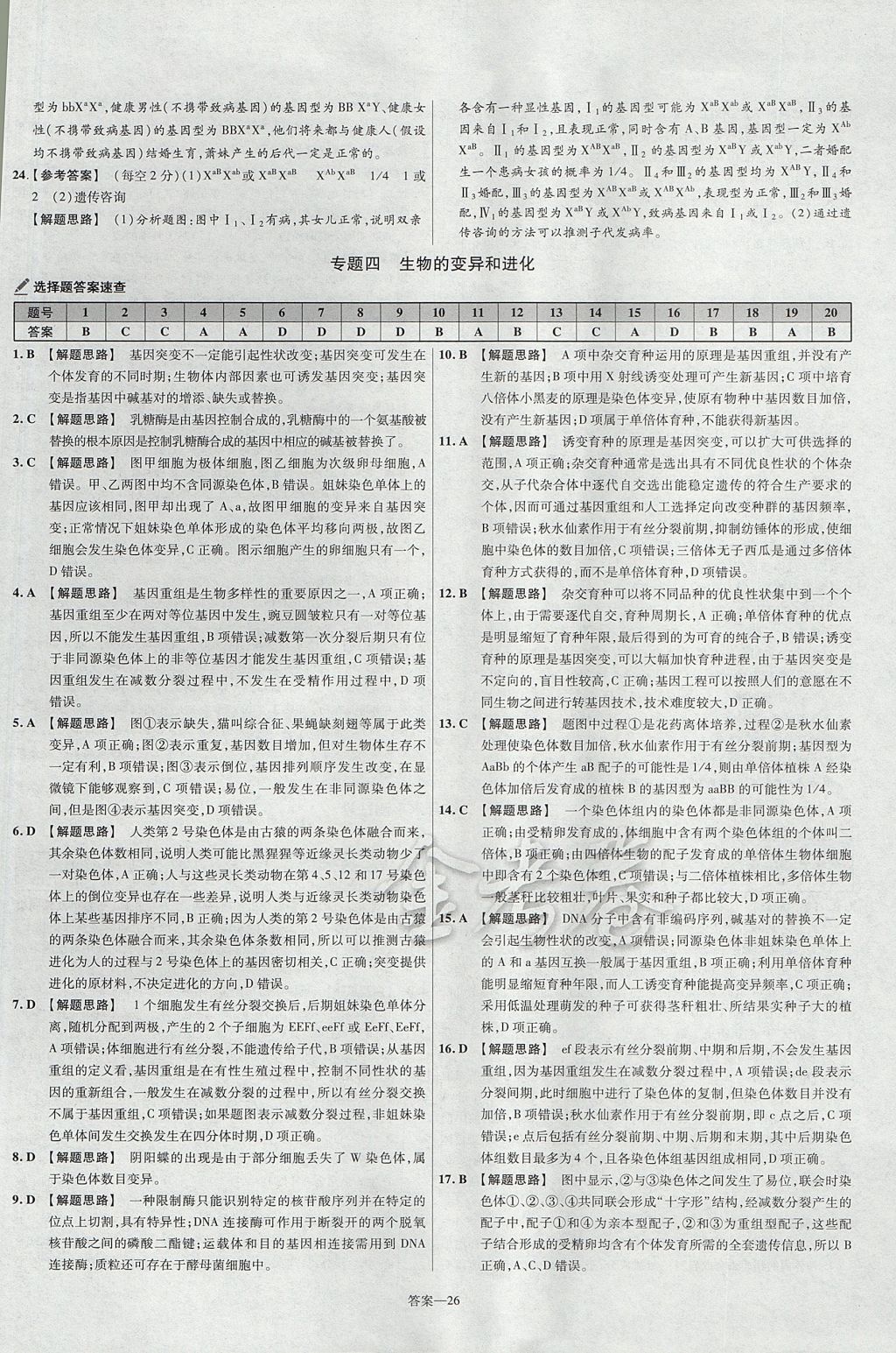 2018年金考卷活頁題選高中生物必修2人教版 參考答案第26頁