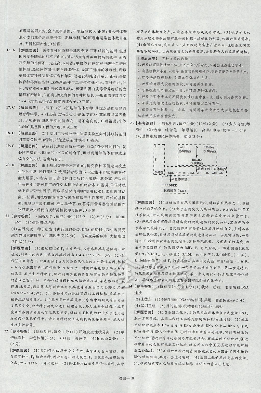 2018年金考卷活頁(yè)題選高中生物必修2人教版 參考答案第18頁(yè)