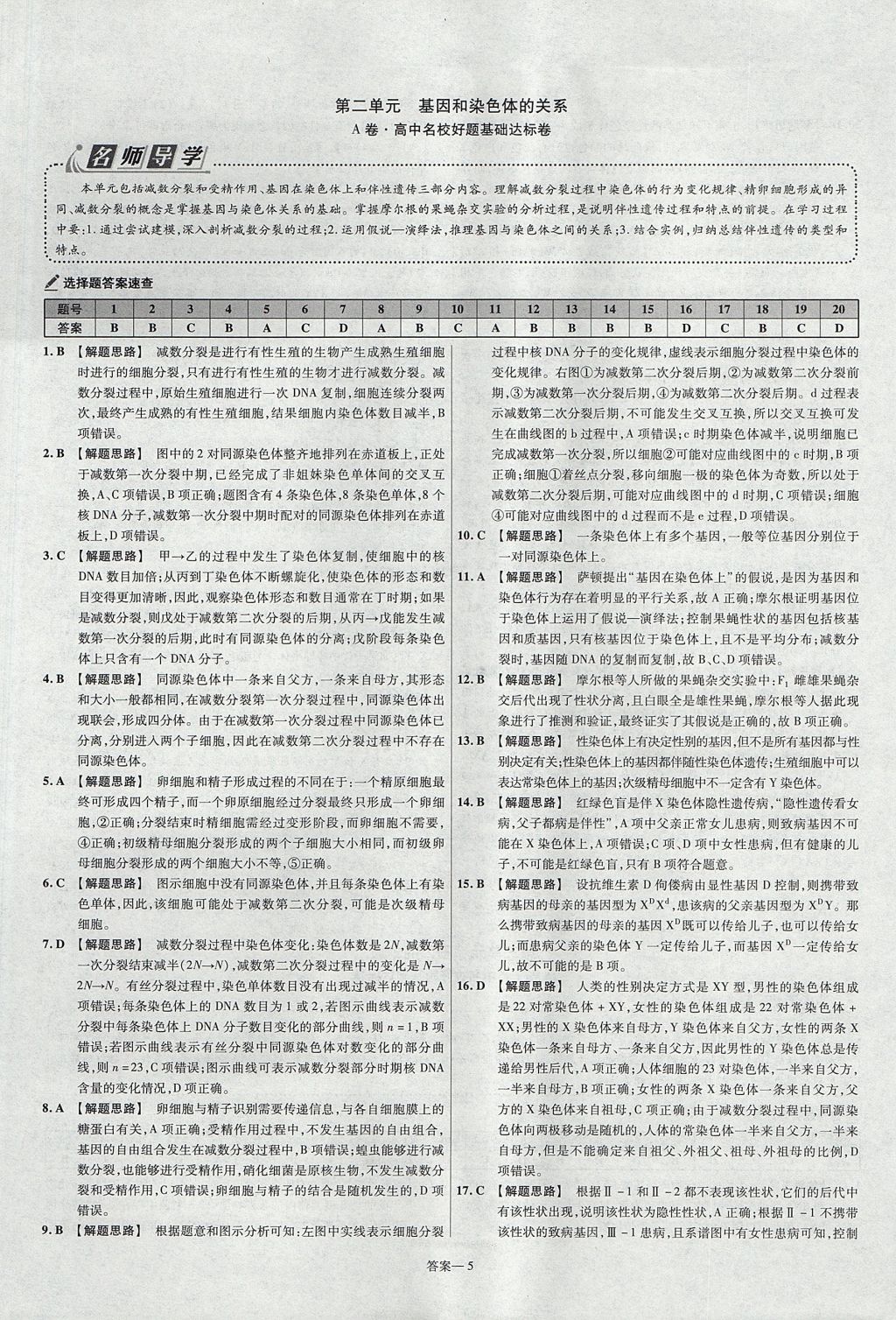 2018年金考卷活頁(yè)題選高中生物必修2人教版 參考答案第5頁(yè)