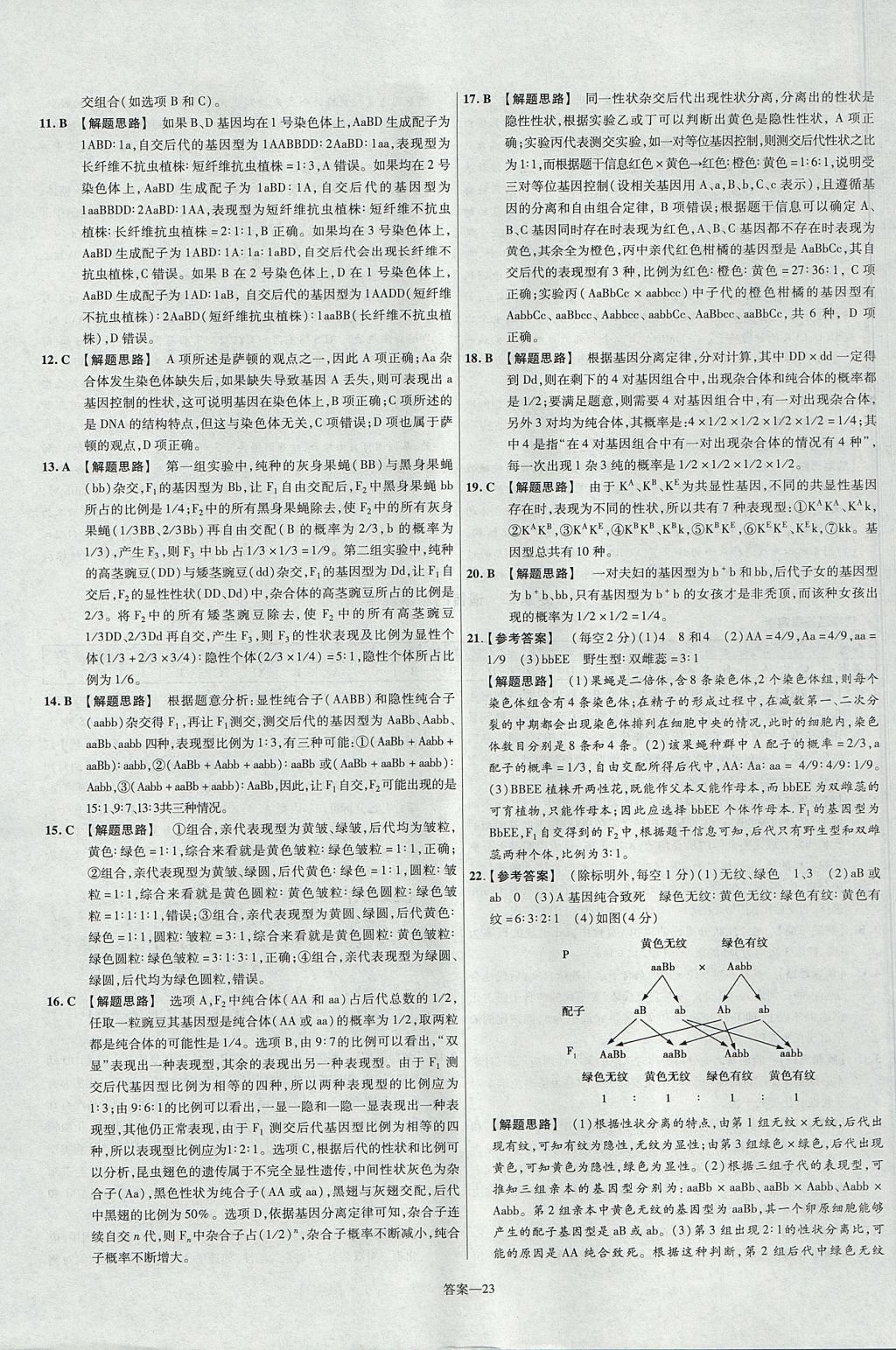 2018年金考卷活頁(yè)題選高中生物必修2人教版 參考答案第23頁(yè)