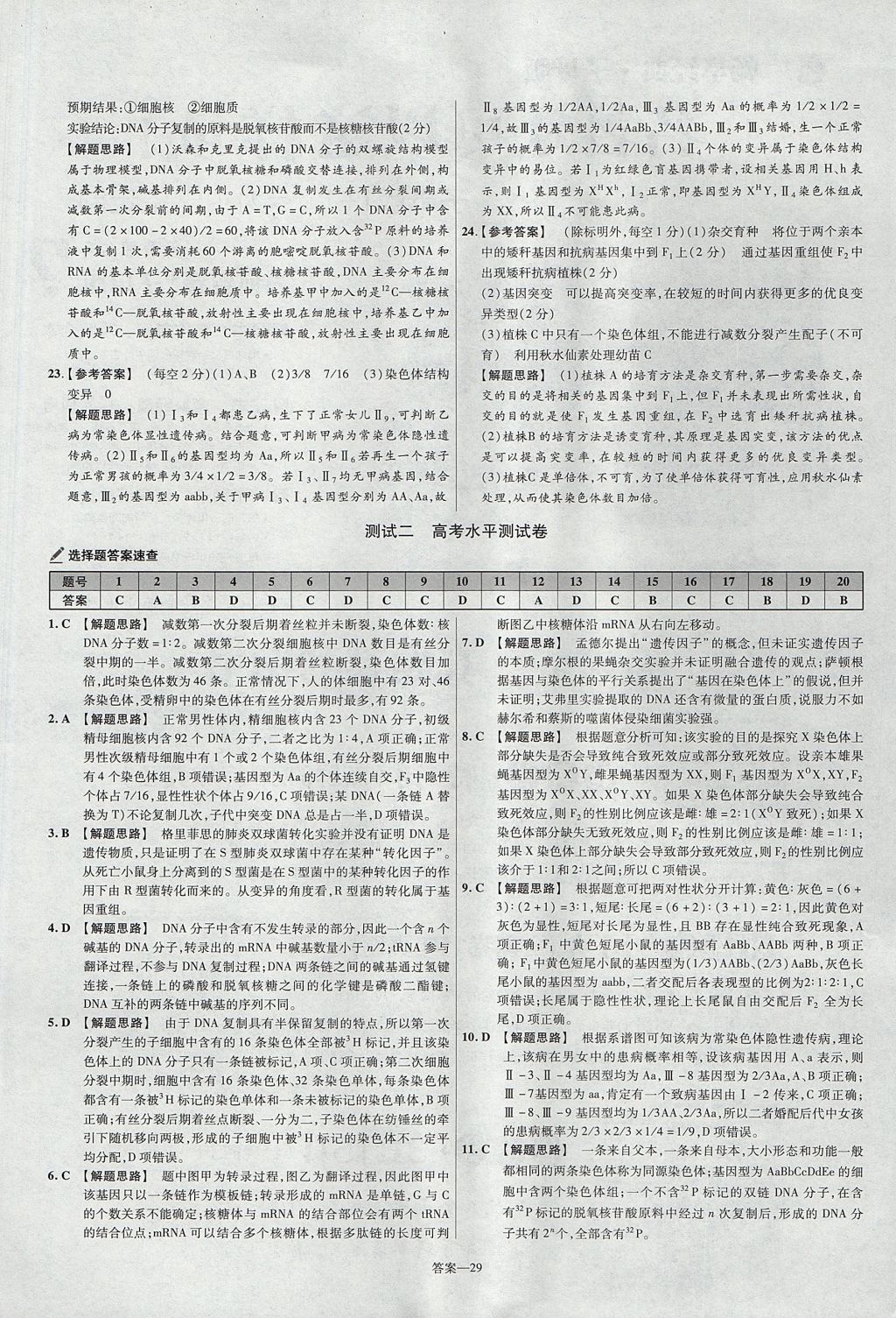 2018年金考卷活頁題選高中生物必修2人教版 參考答案第29頁