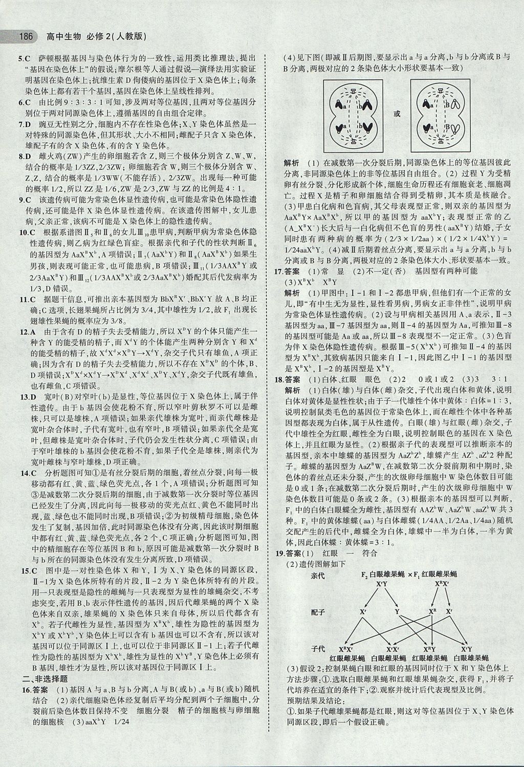 2018年5年高考3年模擬高中生物必修2人教版 參考答案第12頁