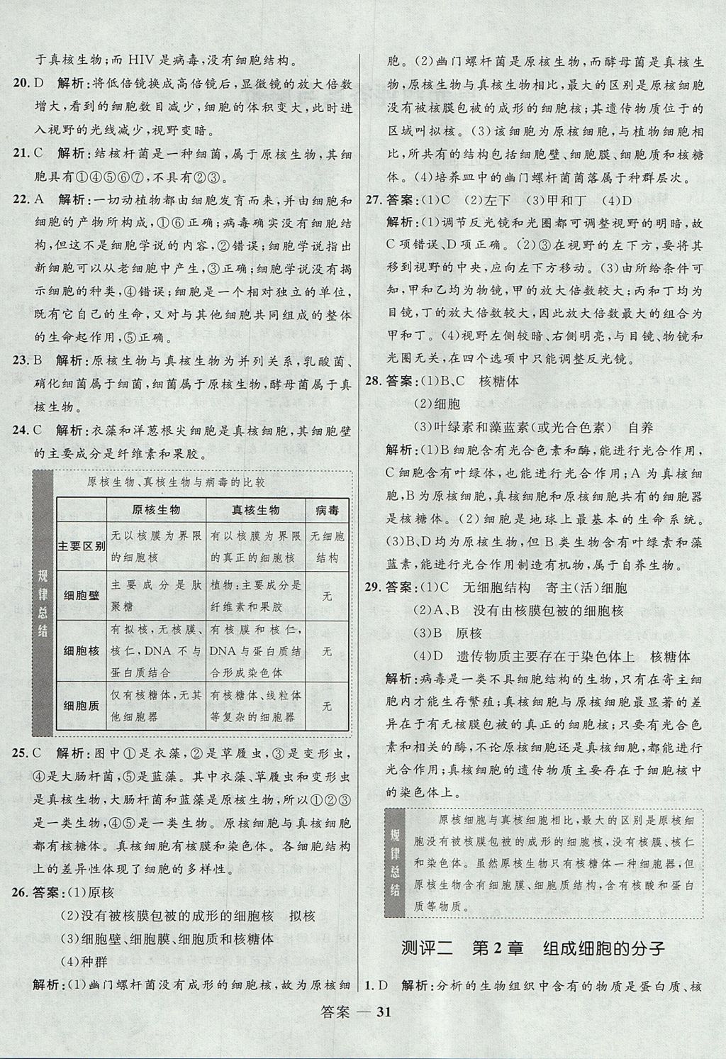 2018年高中同步測控優(yōu)化訓(xùn)練生物必修1人教版 參考答案第31頁