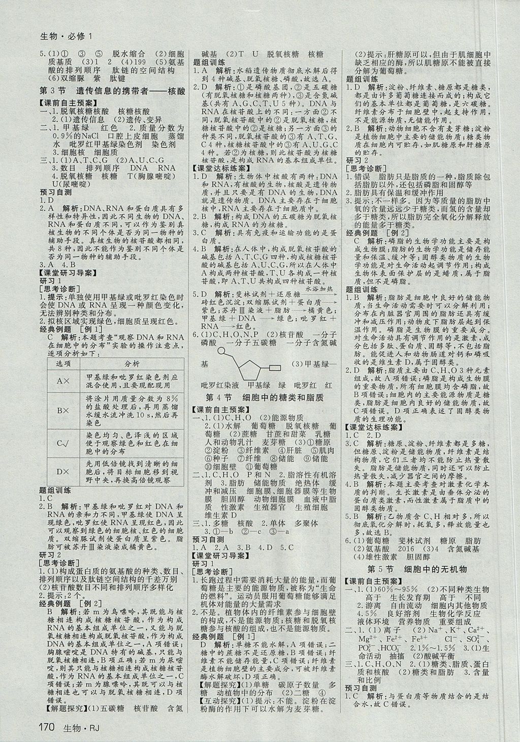 2018年名師伴你行高中同步導(dǎo)學(xué)案生物必修1人教A版 參考答案第3頁