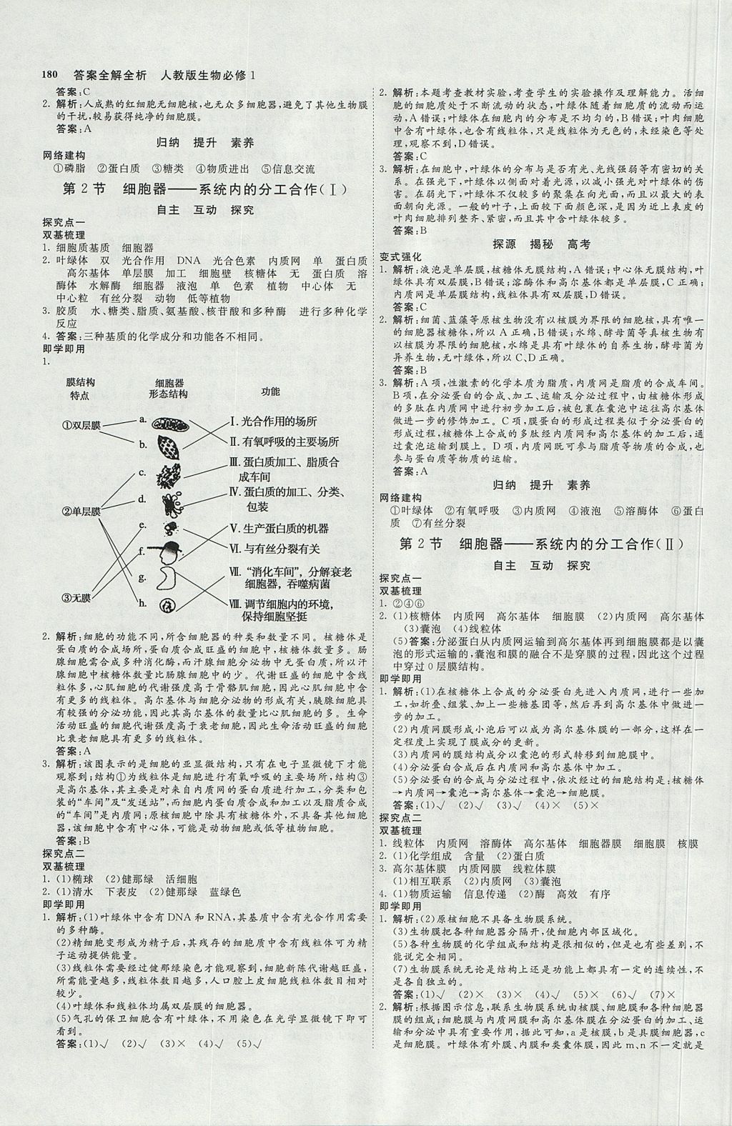 2018年師說高中同步導(dǎo)學(xué)案生物必修1人教版 參考答案第6頁