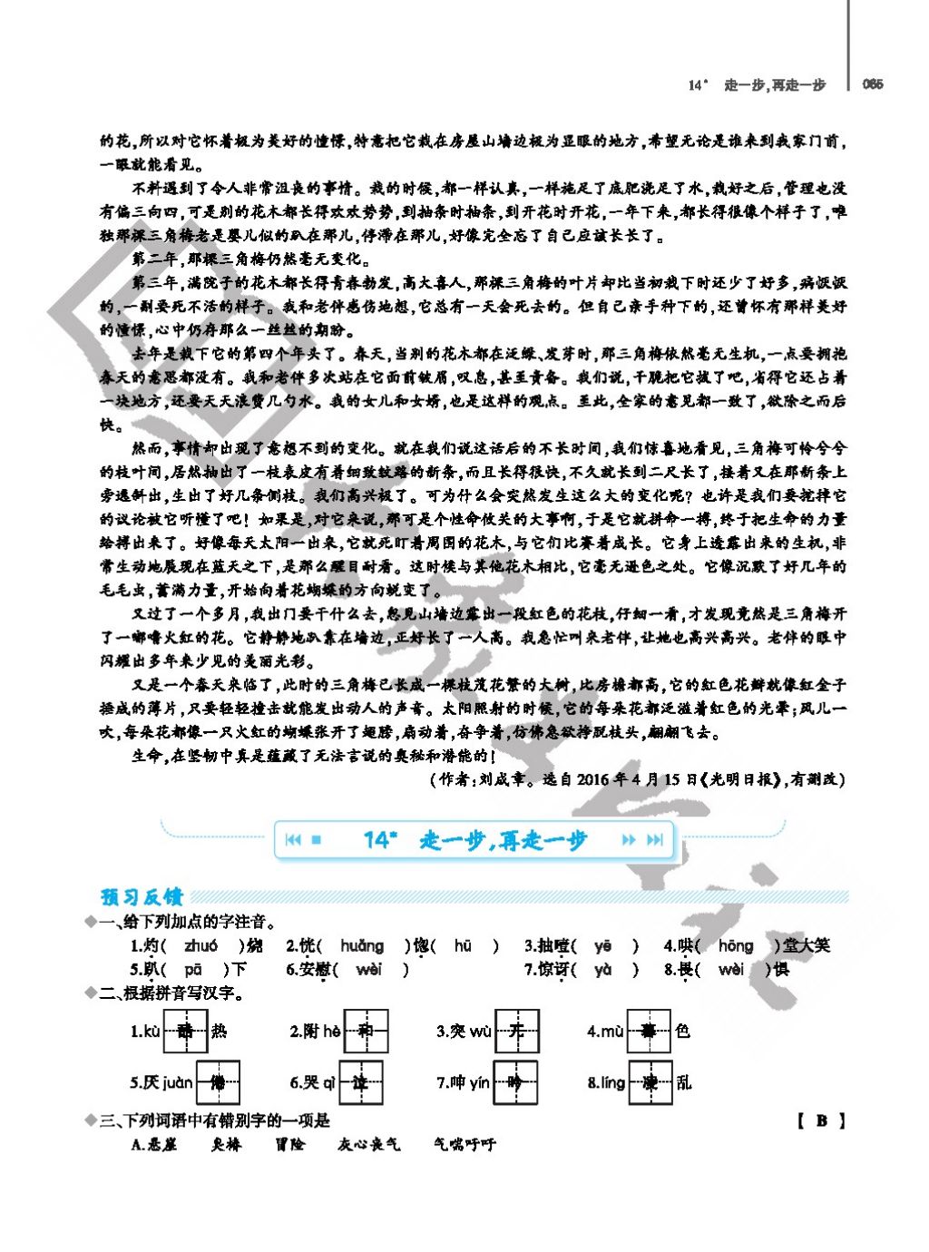 2017年基礎(chǔ)訓(xùn)練七年級語文上冊人教版僅限河南省使用大象出版社 參考答案第65頁