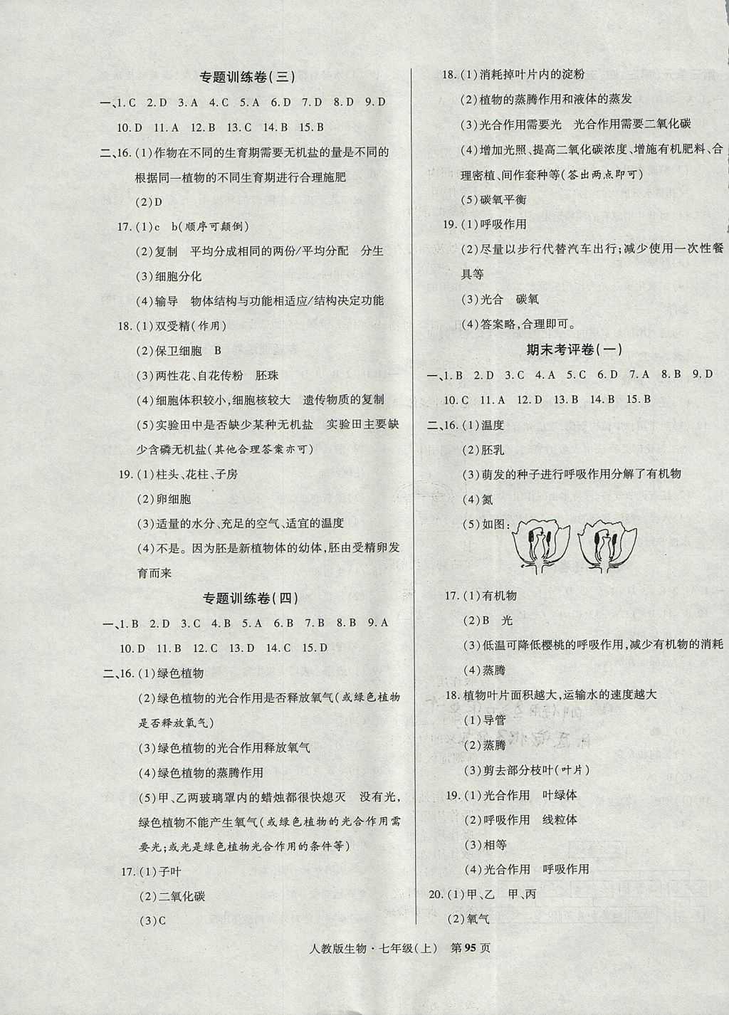 2017年課標新卷七年級生物上冊人教版 參考答案第7頁